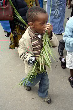 palm11 A child participating during palm sunday