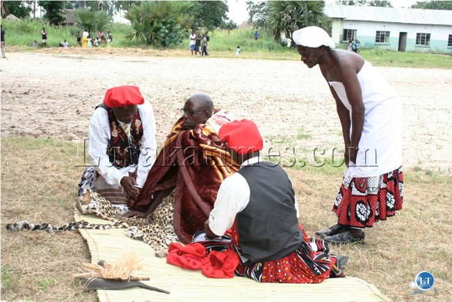 ngambela4