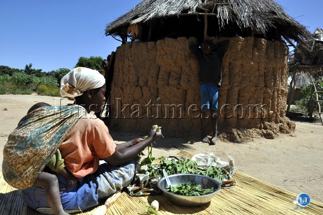 A woman preparing relish for a meal in Chongwe rural