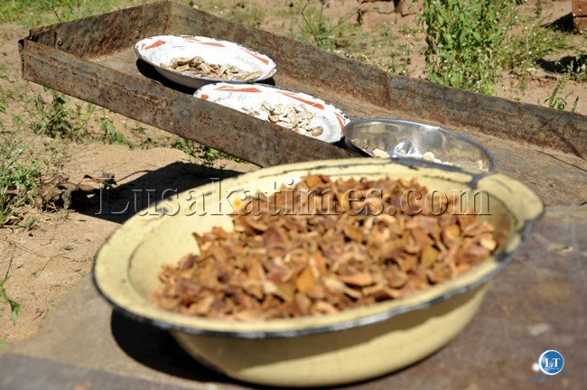 Some fruits being preserved by the family in Chongwe