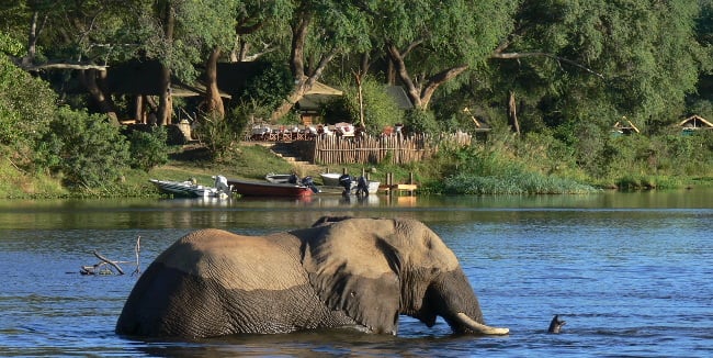The Unspoilt Lower Zambezi National Park