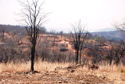 The site of Zambezi Resources' Kangaluwi Copper Project in the Lower Zambezi National Park.