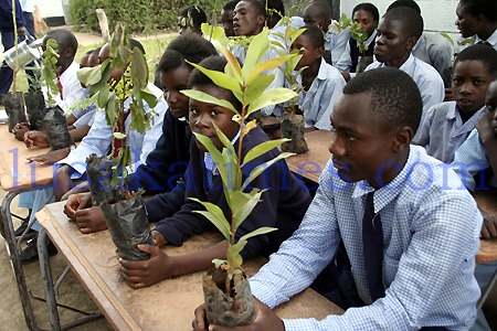 Pupils at Tree Planting Day