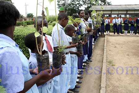 PUPILS at Chimwemwe Basic school in Lusaka's Chawama townshp holding on to plants before a tree planting session which was led by the LIONS Club of Mulungushi at the weekend