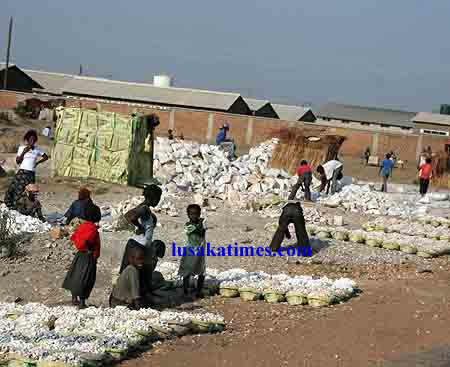 Stone crushers who include women and children wait for buyers in Lusaka
