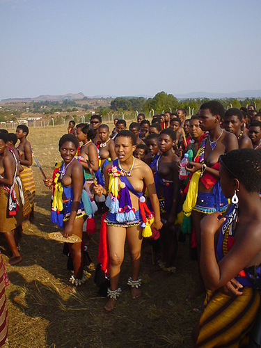 Swazi Reed Dance