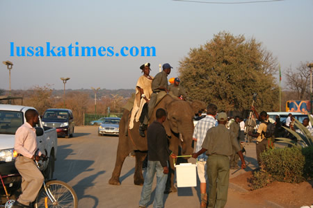 chief Mukuni riding one of the elephants given to him by Zimbabwean President Robert Mugabe. This was at the Victoria falls border with Zimbabwe