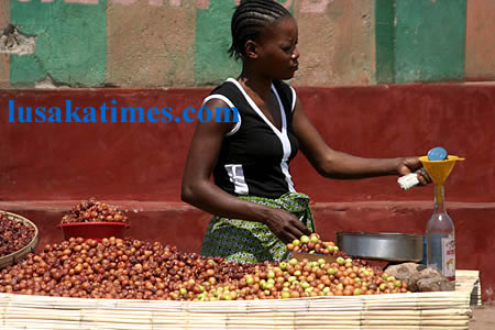 A woman selling wild fruits called Masau at Luangwa along the Great East Road
