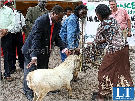 Community Development deputy minister Moses Muteteka hands over the goat to a beneficially, Brenda Nsajasa of Namushakende during the handover of farming inputs in Mongu.