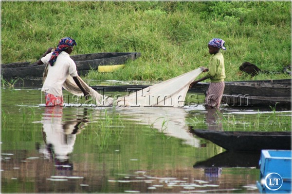 FILE: Two women using a mosquito net to catch fish in Mongu. It is illegal to fish using a mosquito net
