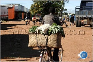 A peasant farmer cycling to te market to sell his vegetables in Katete
