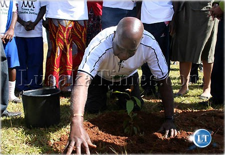 First republican president Kenneth Kaunda plants a tree to commemorate the World Environment Day in Lusaka