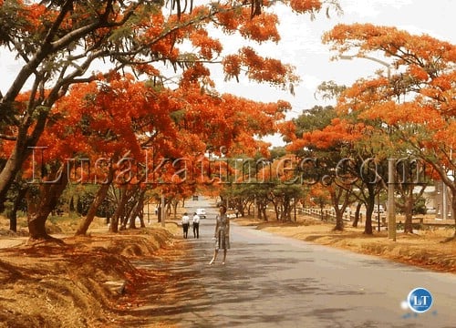 A street in Lusaka