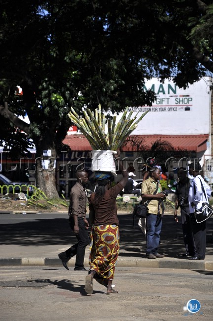 A hawker peddling sticks of sugar cane along Cairo road in Lusaka
