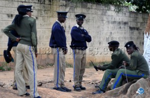 police 3