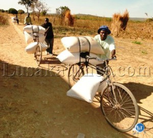 Peasant Farmers transporting bags of Maize to the FRA Shem satellite depot in Isoka.