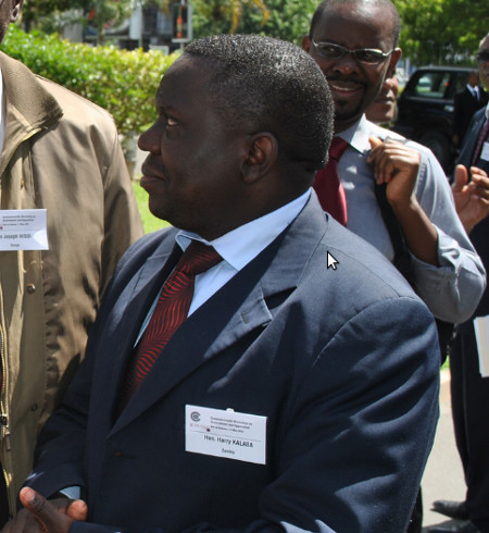 Deputy Minister in the Office of the Vice President, Harry Kalaba