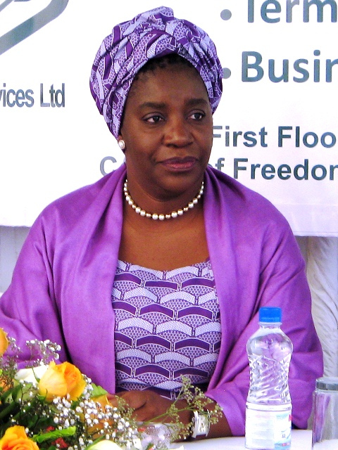 Ms Chileshe Mpundu Kapwepwe - IMF Alternate Executive Director - Africa Group 1 Constituency