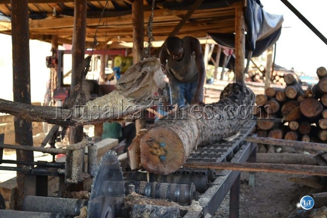 Timber Pix3