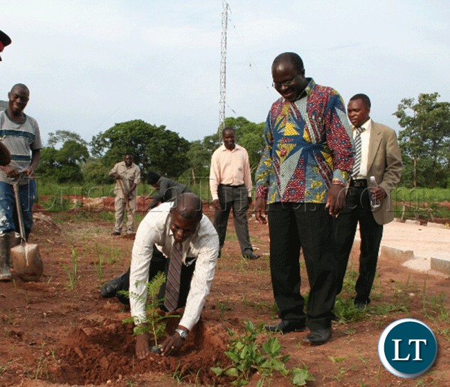 Deputy LANDS minister CHINGIMBU in Kasempa tre planting