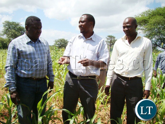 HUNGER is rooming in Sinazongwe district in Southern province. Above is constituency Member of Parliament Richwell Siamunene (c) shows Deputy Minister in the Office of Vice President Hurry Kalala (l) the type of food his people resort to eat due to poor crop yield. Far left is area District Commissioner Dodo Sindaza.