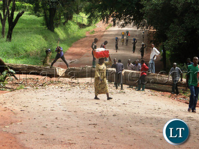 A Tree which fell as a result of a strong rains caused unexpected Independence Avenue road block for over seven hours that disturbed the movements of motorists in Kasama to take long diversions