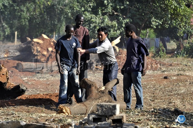 File:A Chinese lodge owner with his Zambia workers making preparatory works for the hosting of the UNWTO general conference in Livingstone