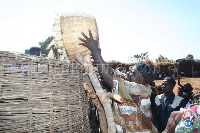 CHIEF Mphamba of the Tumbuka people in Lundazi pours maize in a granary to signify the climax of the Kulonga ( harvest) traditional ceremony held in Lundazi on Saturday