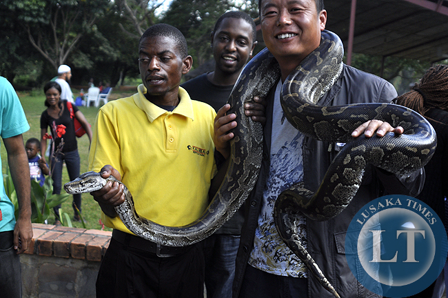 A Chinese man poses for a photograph with a python wrapped on him at Kalimba Reptile Farm