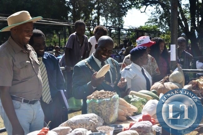 KITWE Mayor Kelvin Sinyangwe takes a look a careful look at a cob of maize during the Kitwe District Agriculture Show