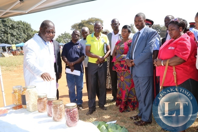 Mount Makulu Woman and Youth chairperson Chipabika Gilson explains to Lusaka Province Minister Phillip Kosamu while Chilanga District Commissioner Edith Muwana listens During the Chilanga District Agricultura show in Chilanga Mount Makulu Woman and Youth chairperson Chipabika Gilson explains to Lusaka Province Minister Phillip Kosamu while Chilanga District Commissioner Edith Muwana listens During the Chilanga District Agricultura show in Chilanga