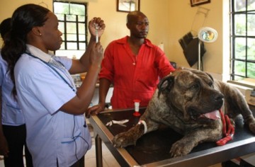 Petvet-Veterinary-Services