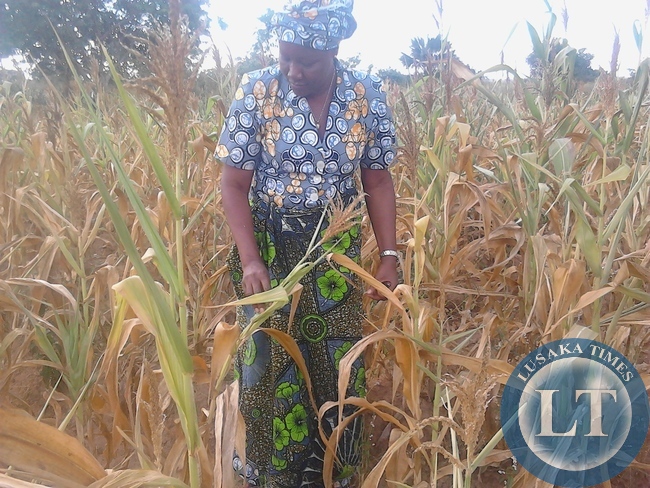 Nawakwi with checking farmers crops
