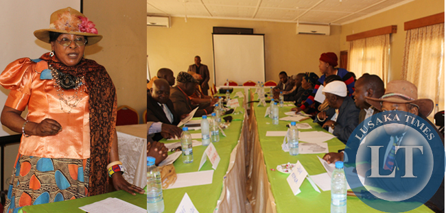 CHIEFTAINESS Mwenda (left) of Chikankanta gives a presentation to other traditional leaders during a Safe Motherhood orientation workshop in Choma