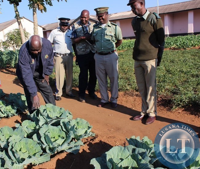 Home Affairs Deputy Minister Panji Kaunda (left) inspects some cabbages at Livingstone Central Prison on Monday as police and prison officers (right) look on