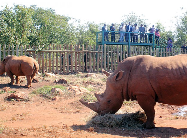 Zambia President Lungu Opens Lusaka National Park
