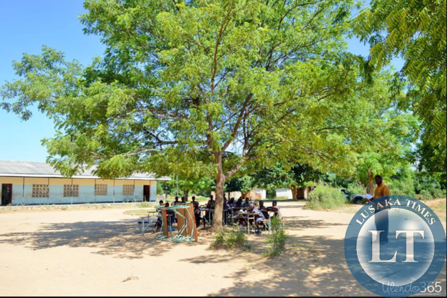Children learning under a tree at Sialwala Primary School located in Sinazongwe,due to lack of classrooms.