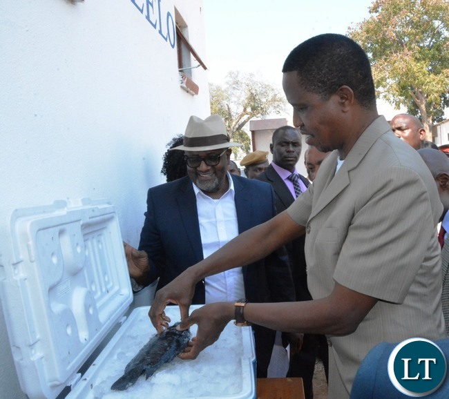 Government  investing 50 million dollars in developing the fish industry -President Lungu