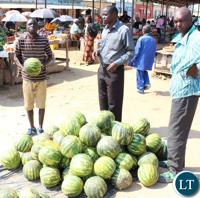 Economic Costs of Informal Businesses
