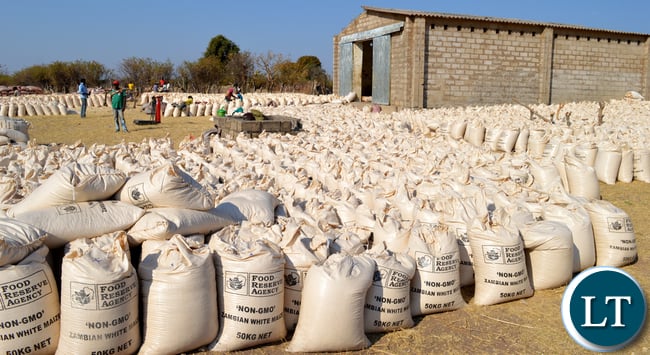 Farmers in Moyo chiefdom of Pemba district found knitting the 50 Kilogrammes bags of maize for sell at one of the Food Reserve Agency depots in the area.
