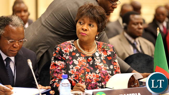 Mrs Mwanakatwe at Sadc Summit 6402