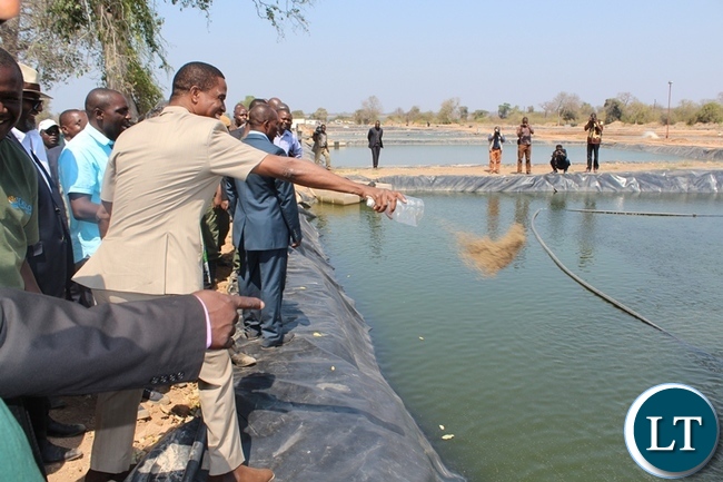 PRESIDENT Edgar Lungu feeds the fish in one of the ponds. This was during the official opening of Yalelo Fresh Zambian Fishing farming company at Kamimbi village in Siavonga district