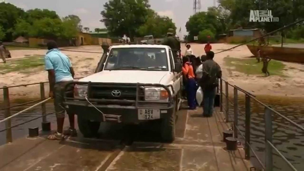 Lion Queen- Documentary in Zambia’s Liuwa Plains National Park