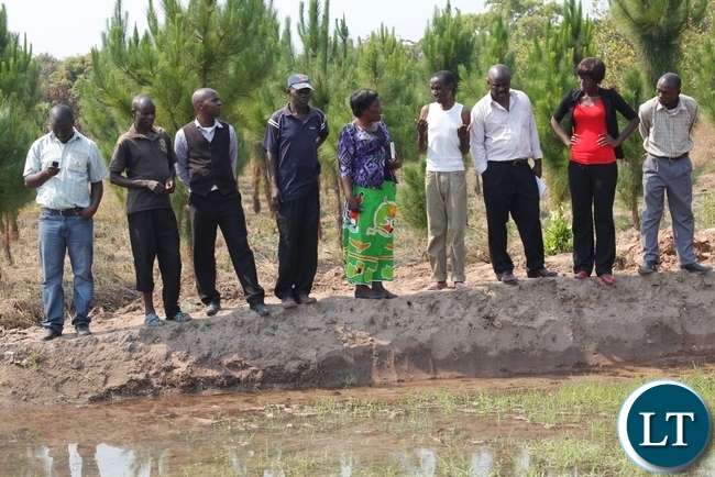 Assistant Fisheries Technician, Mary Nyirenda (Middle) giving guidance to a fish farmer with DAO Felix Mungaila and SUN Coordinator, Krysterbel Nankamba listening