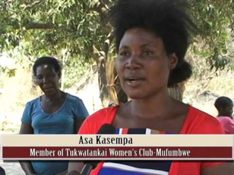 UPDATED:Charcoal making in Zambia without cutting trees