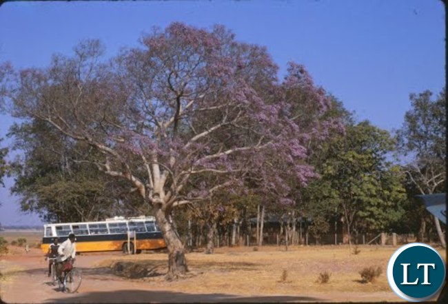 UBZ Bus