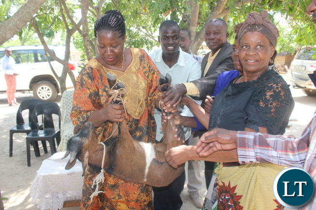 Zambians are willing to eradicate poverty through hard work- Nawakwi