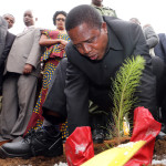 President Lungu Plants a Tree at Shwangandu Forests plantation 7099
