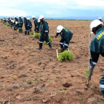 ZAFFICO Workers at Shiwangandu 0677