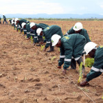 ZAFFICO Workers at Shiwangandu Plantation 0685